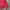 Zara Red Trucker Denim Jacket photo 5