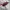 Adidas Handball Spezial Loafer Maroon Gum photo 4