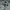 Standart Member Harrington Work Jacket  photo 5