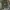 Green olive military longpants by Japan made photo 5