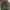 Green olive military longpants by Japan made photo 6