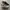 New Balance 990 V3 x Teddy Santis photo 2