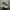 Nike P6000 Platinum White Grey photo 2