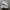 Nike P6000 Platinum White Grey photo 1