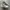 Nike Airmax AP Triple White photo 2
