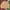Carhartt Vintage Grunge Leather jacket Pria gold tan photo 2