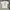 DRAVUS MIND TRIPS WEED TSHIRT CREAM photo 1