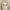 Fairy Flirt Mini Dress Sabrina Cream photo 1