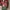 Vintage V Neck Sweater Ben Sherman photo 8