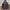 Oakley pilot factory windbreaker jacket photo 2