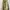 Vintage Burberrys Nova Check Trench Coat Beige Unisex