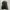 Alpha Industries Inc Parka ECWS 2ND Nylon Green Unisex photo 8