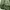 Alpha Industries Inc Parka ECWS 2ND Nylon Green Unisex  photo 5