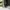 Alpha Industries Inc Parka ECWS 2ND Nylon Green Unisex photo 9