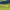 Jersey Chelsea Away Original photo 3