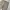carhartt celpo canvas size 42 relaxed fit photo 2