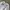 Japanese brand Y2K Emo T-shirt Pria white photo 3