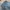 Dickies Double Knee Carpenter Jeans Pants Blue photo 2