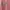 Stussy pink ori photo 4
