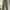 Uknown Brand Barrel Pants Green Military photo 2