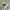 cargo Gu super wide leg white photo 6
