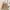 Sweater Crewneck Marines Zara Oversize photo 1