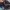 Legato Largo Dual Face Small photo 5
