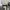 Converse 70s High Non Egret Black White photo 7