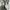 Converse 70s High Non Egret Black White photo 9