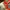 Salomon Ultra Glide Red Original photo 4