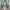 SYR Loose Fadding Jeans size 26-27 photo 7
