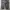 GU Pleated Pants photo 3