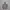 HOODIE CARHARTT YOUTH CAMO photo 2