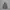 HOODIE CARHARTT YOUTH CAMO photo 1