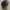 Grunge Goth Hat Pria black photo 3