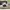 New Balance Luxury Casual Sneakers Wanita white black photo 5