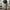 Nike Y2K Sweatpants & Joggers Pria gray photo 1