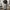 Nike Y2K Sweatpants & Joggers Pria Gray