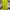LONGPANTS OUTDOOR  COLUMBIA FIELD UTILITY OMNI SHADE photo 1