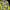 PATAGONIA KIDS FLOWER YELLOW WINDBREAKER JACKET | OUTERWEAR  photo 6