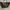 Louis Vuitton Luxury Tote bag Wanita brown photo 1