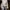 Calvin Klein Luxury Fur coat Pria multicolor photo 1