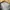 Calvin Klein Luxury Fur coat Pria multicolor photo 5