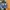 VANS Streetwear Casual Sneakers Kids white blue photo 2