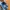 VANS Streetwear Casual Sneakers Kids white blue photo 1