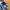 VANS Streetwear Casual Sneakers Kids White Blue