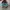 Converse 70s Low Ox University Blue photo 5