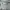 CN MLB LA Dodgers photo 1
