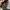 Vtg Handbag Party y2k Gianni Versace photo 6