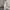 Champagne Velvet Maxi Dress Romantic Gothic Fairycore Prince